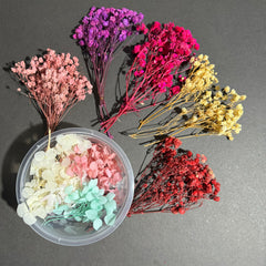 DRIED BABY BREATH BUNCH DEAL