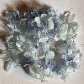 DRIED FLOWER Hydrangea