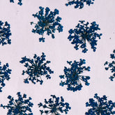 DRIED FLOWER ANNA LACE