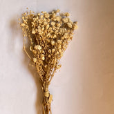 DRIED FLOWER BABY BREATH