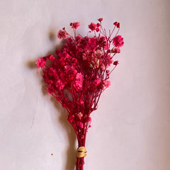 DRIED FLOWER BABY BREATH