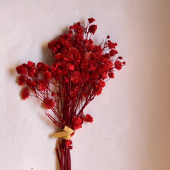 DRIED FLOWER BABY BREATH