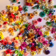 MULTI COLOR MINI DRIED FLOWER