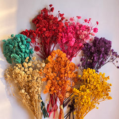 DRIED FLOWER BABY BREATH