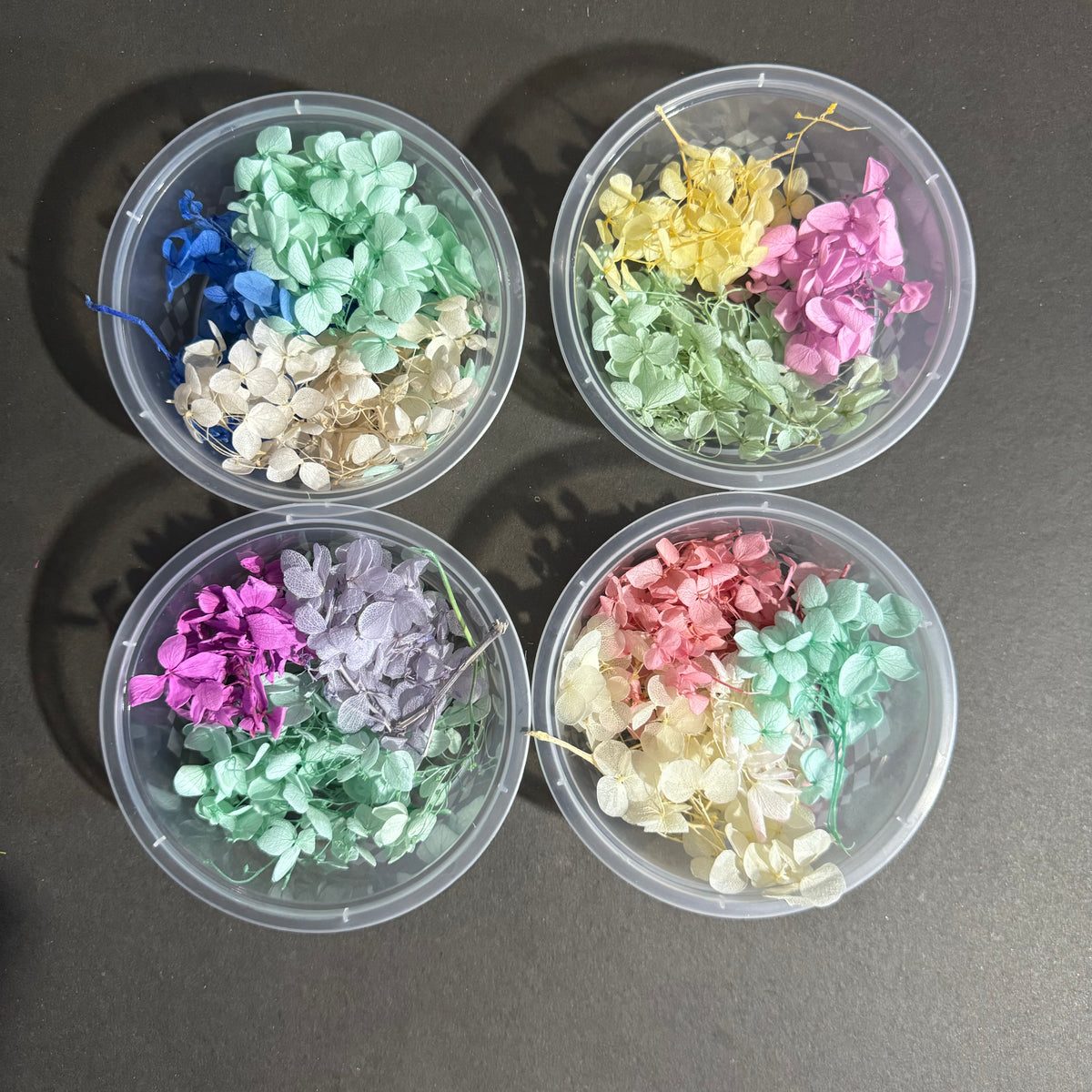 DRIED HYDRANGEA BOX DEAL