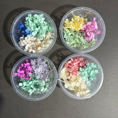 DRIED HYDRANGEA BOX DEAL