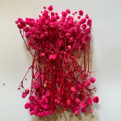 DRIED BABY BREATH FOR RESIN ART