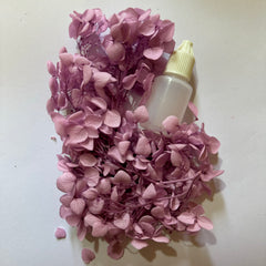 DRIED FLOWER FOR RESIN