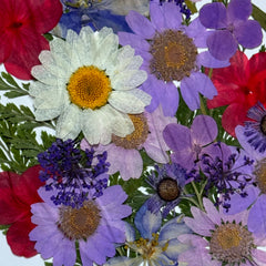 MIXED PRESSED DRIED FLOWER