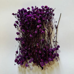 DRIED BABY BREATH FOR RESIN ART