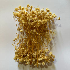 DRIED BABY BREATH FOR RESIN ART