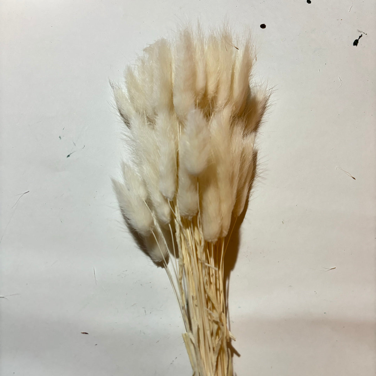 BUNNY TAILS FOR RESIN ART