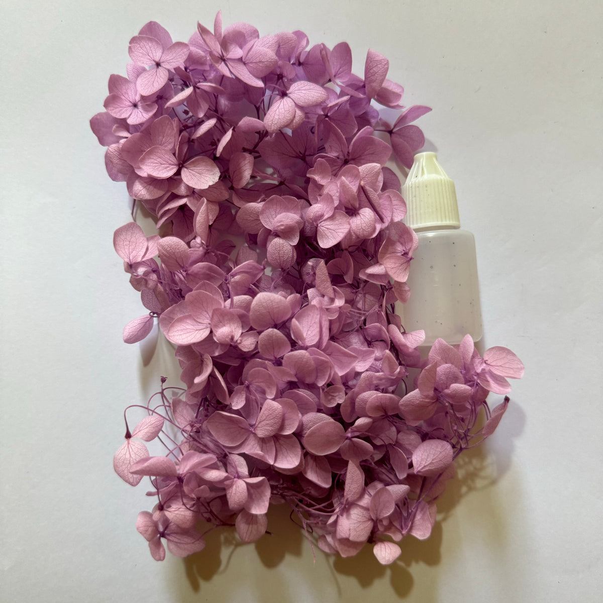 DRIED FLOWER FOR RESIN