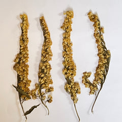 DRIED FLOWER FOR RESIN
