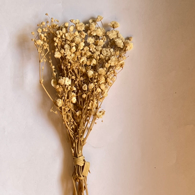 DRIED FLOWER BABY BREATH