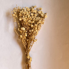DRIED FLOWER BABY BREATH