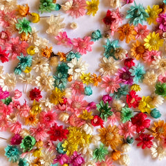 MULTI COLOR MINI DRIED FLOWER