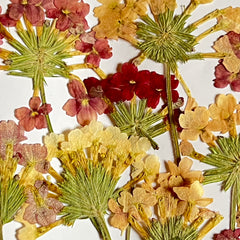 DRIED FLOWER FOR RESIN